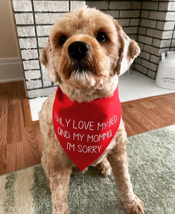 CUSTOM BANDANA Dog Bandana I Only Love My Bed and My Momma I m