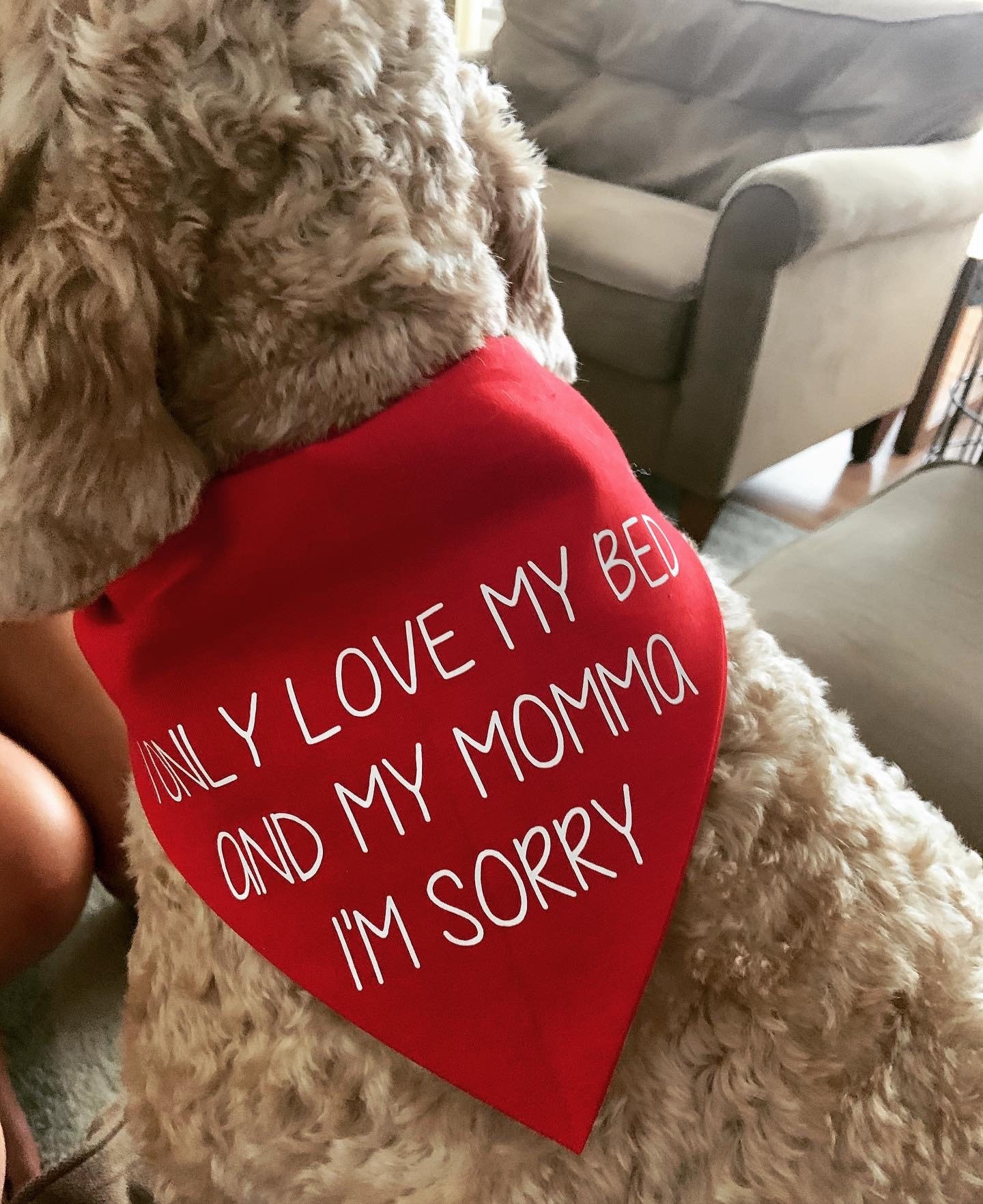 It's My BIRTHDAY MOTHER PUPPERS Custom Dog Bandana I Etsy