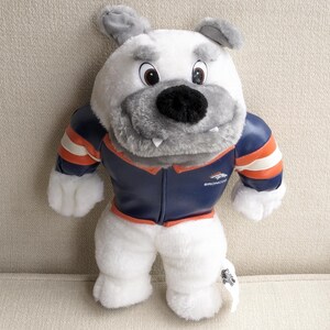 Pode incluir: Um bulldog de pelúcia branco vestindo uma jaqueta azul e laranja com a palavra "Broncos" na frente. O bulldog tem o rosto cinza e o nariz preto.