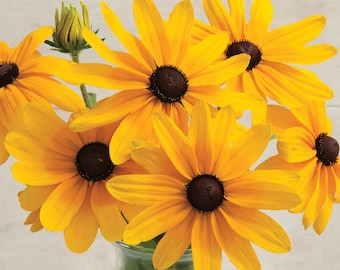 50+ Rudbeckia Indian Summer seeds