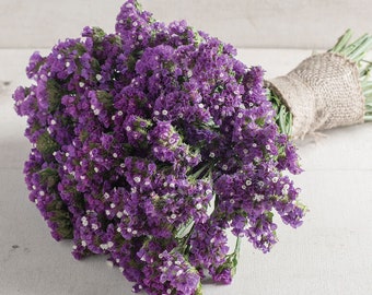 May include: A bouquet of purple statice flowers tied with burlap twine. The flowers are small and clustered together, creating a full and lush look.