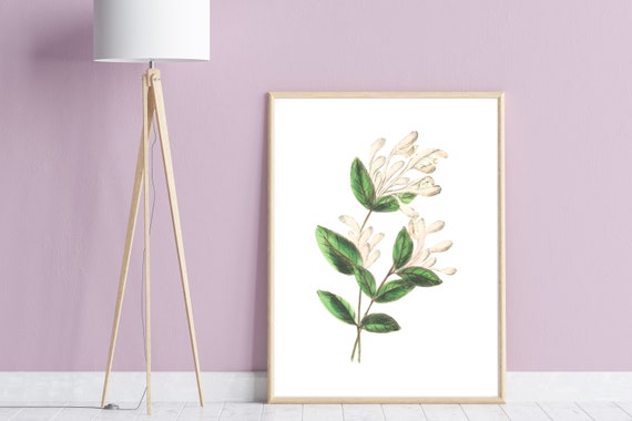 White Flower Drawing Printable Instant Download Art Simple | Etsy