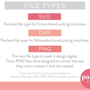 May include: A graphic with the text "FILE TYPES" in a light gray rectangle. The text "SVG", "DXF", and "PNG" are in pink rectangles. The text below each rectangle describes the file type and its use. The text "party society co" is in a pink circle.