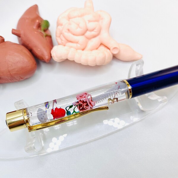 Miniature Human Body Parts Float Pen / Diorama Human Anatomy / Custom Pen / Gift for Doctors Medical Students Nursing Students / Nurse Gift