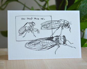 Paper note card bug notecard & insect cards Cicada postcard greeting ...