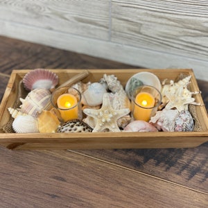 Beach Centerpiece Shell Centerpiece Seashell Decor Beach Theme Decor Beach  Candleholder Seashell Candle Holder Beach Wedding Decor 