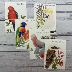 Australian Backyard Birds Post Card Pack - 5 Original Postcards by CoffeeTeaPaper - Happy Mail/Post Crossing/Pen Pal/Swap/Journal Card