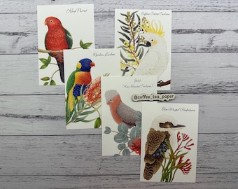 Australian Birds Postcard Set: Watercolor Art, Happy Mail (5 Pack)