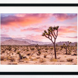 Joshua Tree National Park, Desert Landscape Photography, Joshua Tree Print, Desert Wall Decor, Boho Wall Art,  Bohemian Wall Art