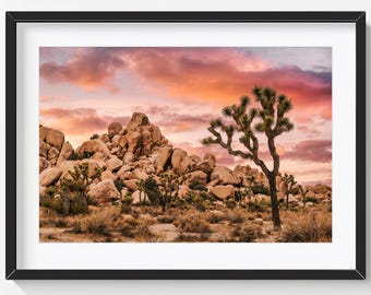 Joshua Tree National Park, Desert Landscape Photography, Joshua Tree Print, Desert Wall Decor, Boho Wall Art, Bohemian Wall Art