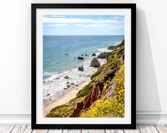 May include: A scenic photograph of a rocky coastline with a sandy beach and blue ocean. The cliffs are covered in green vegetation and yellow wildflowers. The sky is blue with white clouds.