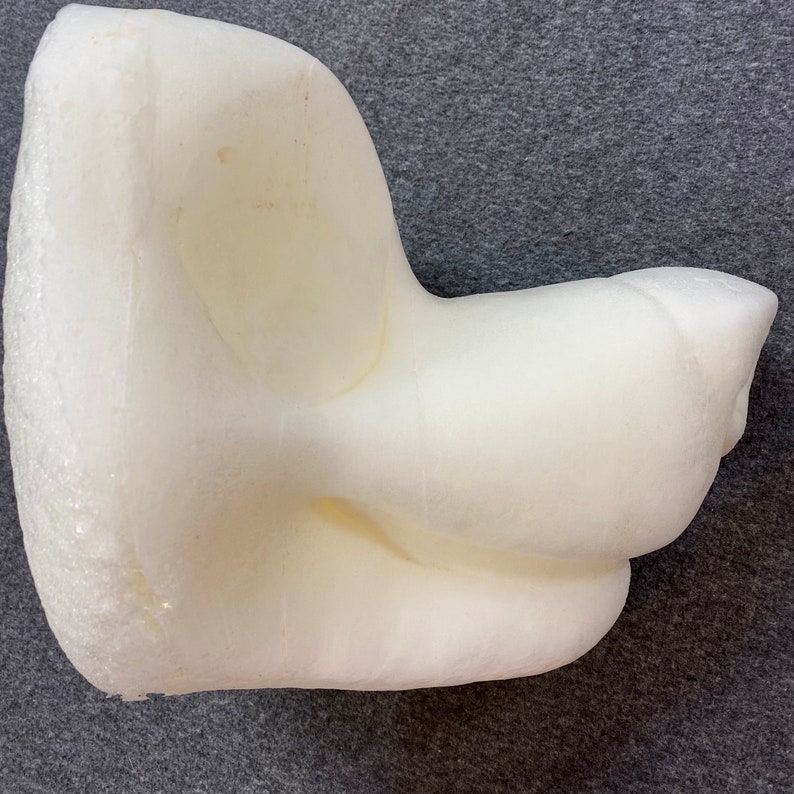 Fursuit Foam Head Base Chill Canine Dog Wolf Eyeblanks Available Two