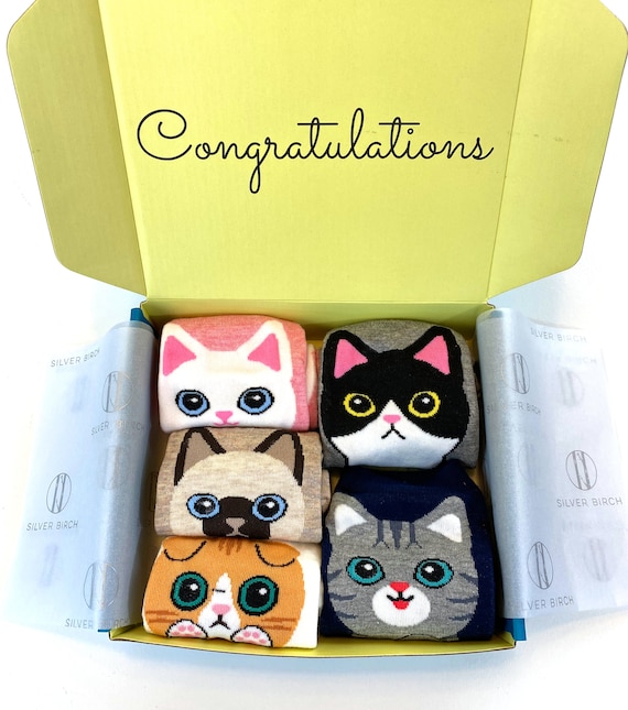 cat gift box