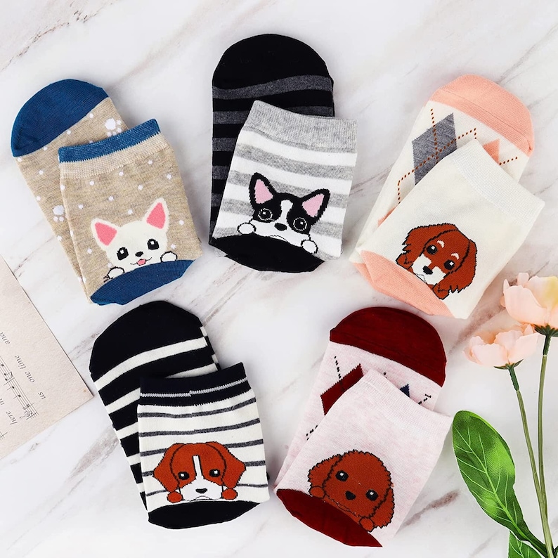 Gift Box for Dog Lover Dog Socks Birthday Gifts Dog Theme Dog mom Dog parent gifts Mothers Day image 1