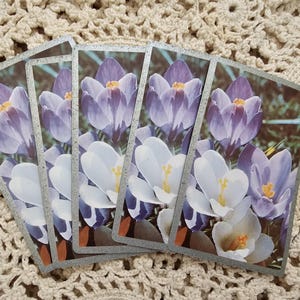 Vintage Playing Cards
