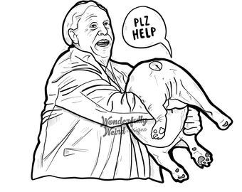 Plz Help Jim Justice Baby Dog CLEAR Sticker