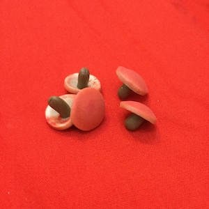 Wee Toadstools