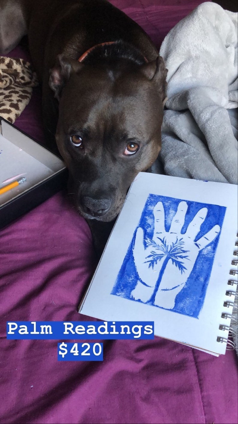 Palm Readings