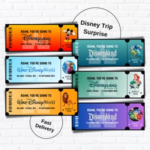 Personalised Disney Holiday Surprise - Disney Parks Themed Reveal Gift, Disneyland & Disney World