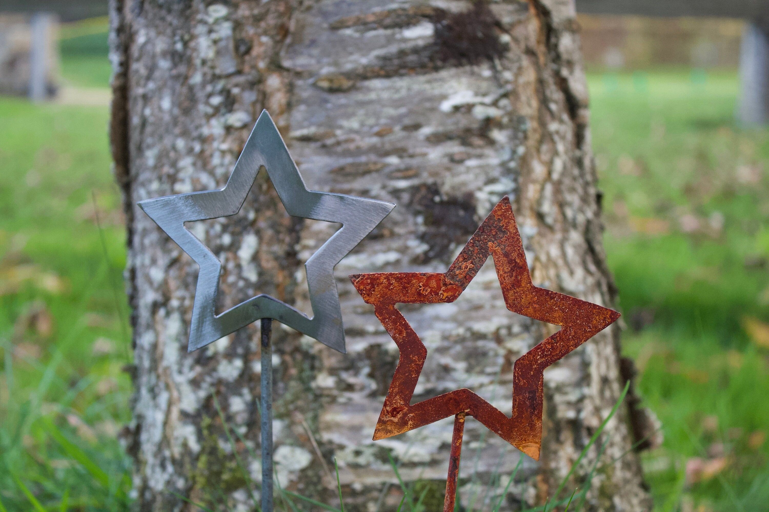 Metal Stars Duo - Rusty & Shiny Pieux de Jardin et Pot Plantes Art en Métal Nu Cadeaux d'art Décorat