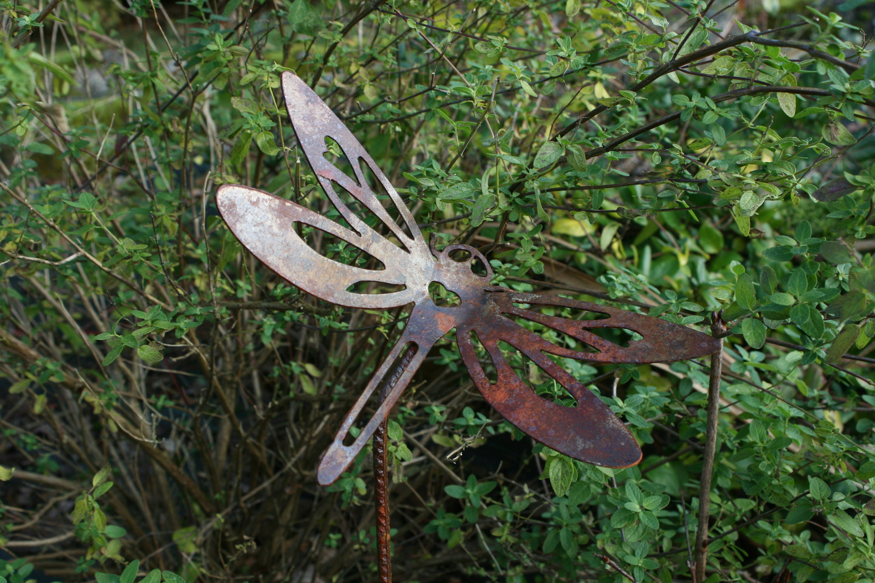 Rusted Metal Dragonfly - Garden stake - Plant pot stakes - Rusty metal garden art - Rustic art gifts - Decorative animal exterior ornaments