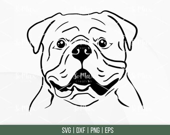 Download American Bulldog Svg Etsy
