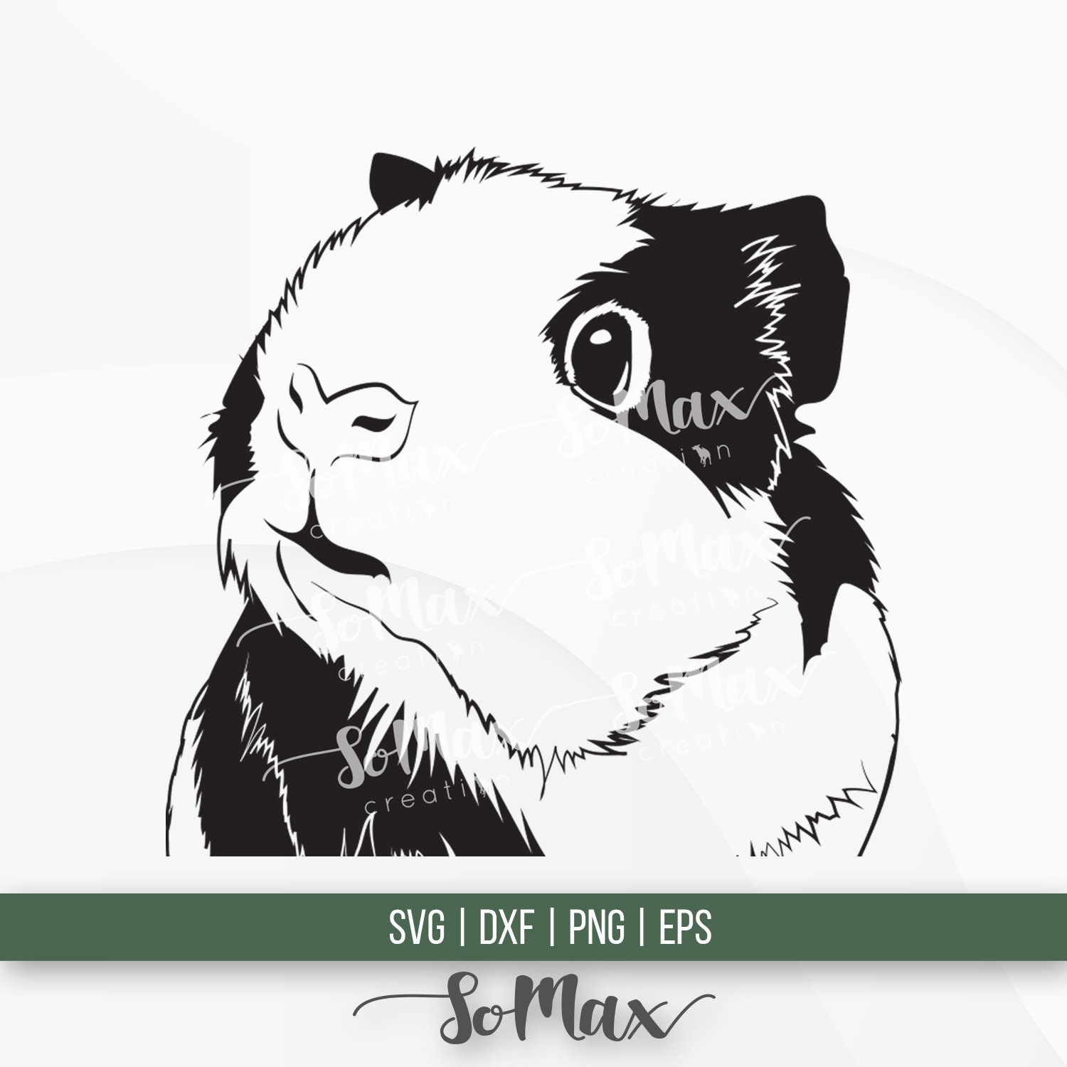 Guinea Pig Stencil Ubicaciondepersonas cdmx gob mx guinea-pig-stencil-ubicaciondepersonas-cdmx-gob-mx