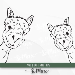 Llama Svg, Alpaca svg, Peeking llama, Animal Svg, Png, Eps