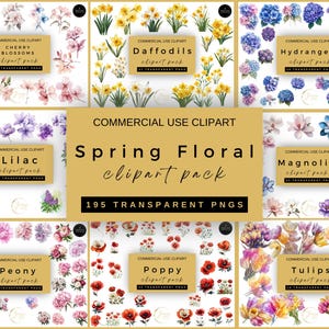 春の花のクリップアート メガ バンドル、195 種類の水彩画の花、桜、モクレン、シャクヤク、チューリップ、ラッパスイセン、ライラック、ポピー、アジサイの PNG