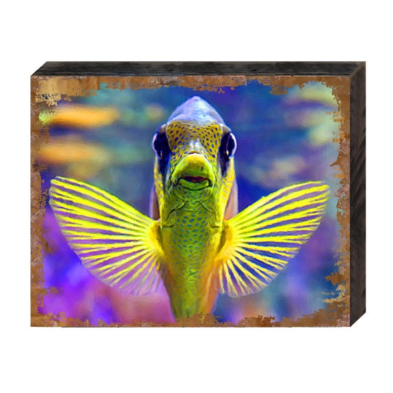 Tropical Fish Wall Decor Wall Art Tropical Fish Art on Etsy