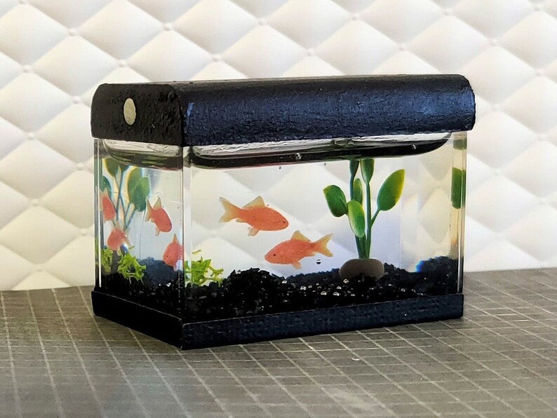 The 5 Best Epoxy Fish Tank Reviews of All Time 4