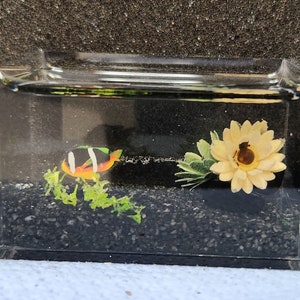 1:12 Miniature Fishtank - Anemone Fish