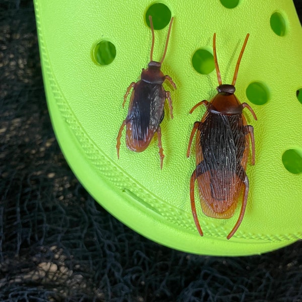 Cockroach Shoe Charm