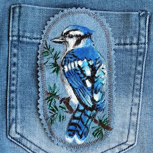 Può includere: Un ghiandaia azzurra dipinta su una toppa di jeans con rami verdi. La toppa è cucita su uno sfondo di jeans blu.