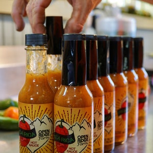 Open Ridge Farm Hot Sauce Quadfecta image 4