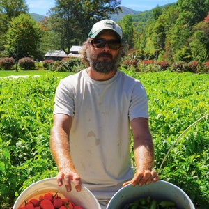 Open Ridge Farm Hot Sauce Quadfecta image 3