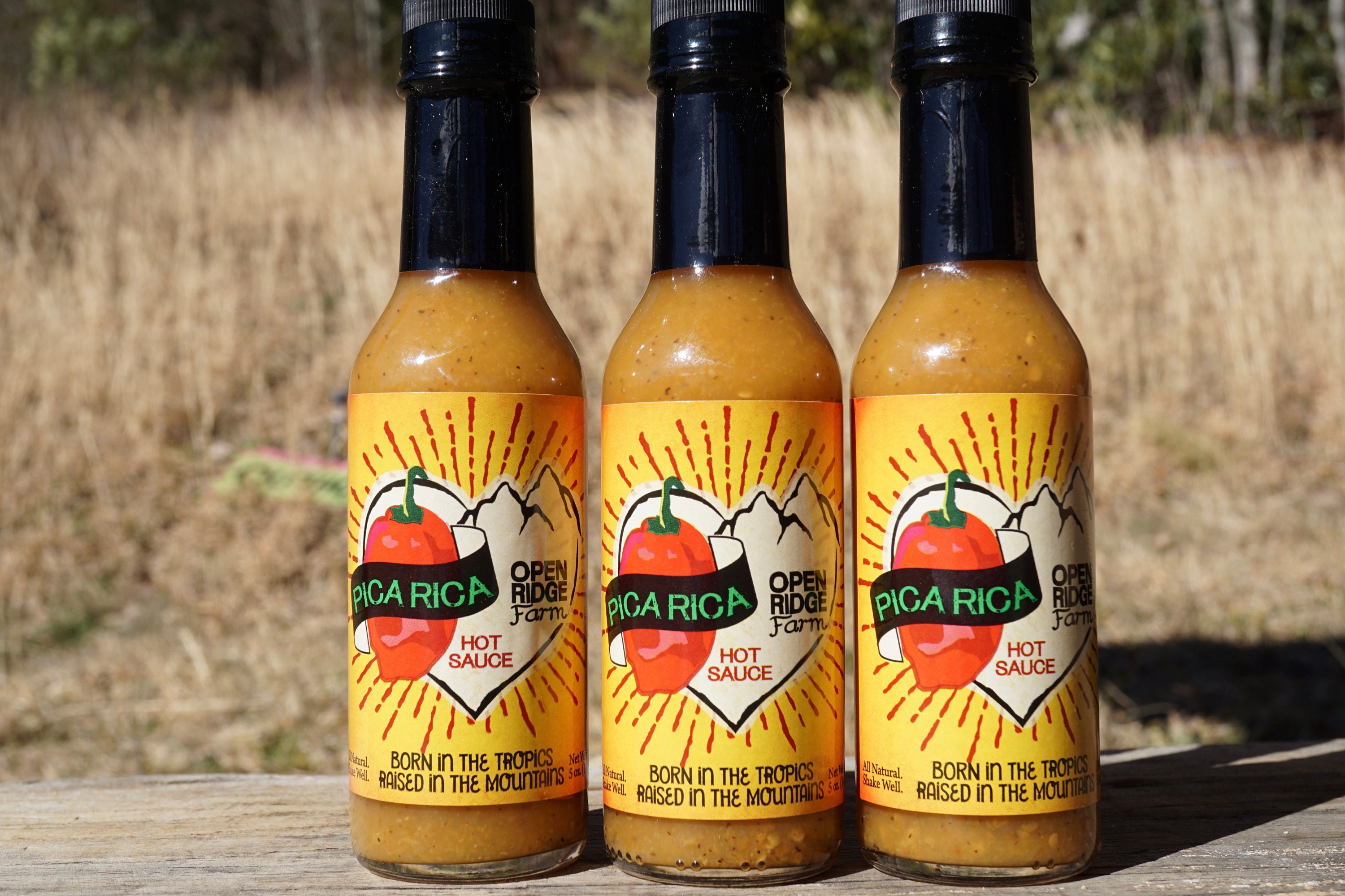 Pico Pica Real Mexican Style Hot Sauce, Spicy Condiment, 7 fl oz