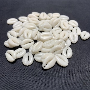 Op de afbeelding: Een stapel kleine, witte kaurischelpen. Deze ovale schelpen hebben een gladde, glanzende textuur en een natuurlijke, gebroken witte kleur. Ze worden vaak gebruikt in sieraden en knutselprojecten.