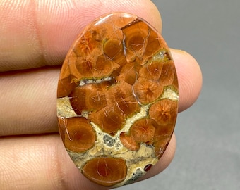 Beautiful Peanut Obsidian Gemstone, Peanut Obsidian Cabochon, Oval Shape Obsidian, Handmade Loose Gemstone, 38x25x5mm, 34Ct