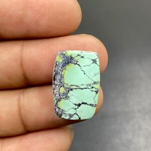 May include: A rectangular cabochon gemstone featuring a pale mint green surface with intricate black matrix veining. The stone displays a smooth, polished finish with a distinct dark, textured mineral inclusion along the left side edge.