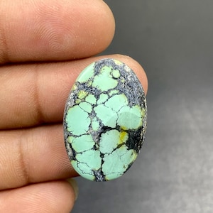 May include: An oval-shaped cabochon gemstone featuring a pale mint green base colour with prominent, dark charcoal-coloured matrix webbing throughout the surface. The stone has a smooth, polished finish and displays a distinct, irregular pattern.