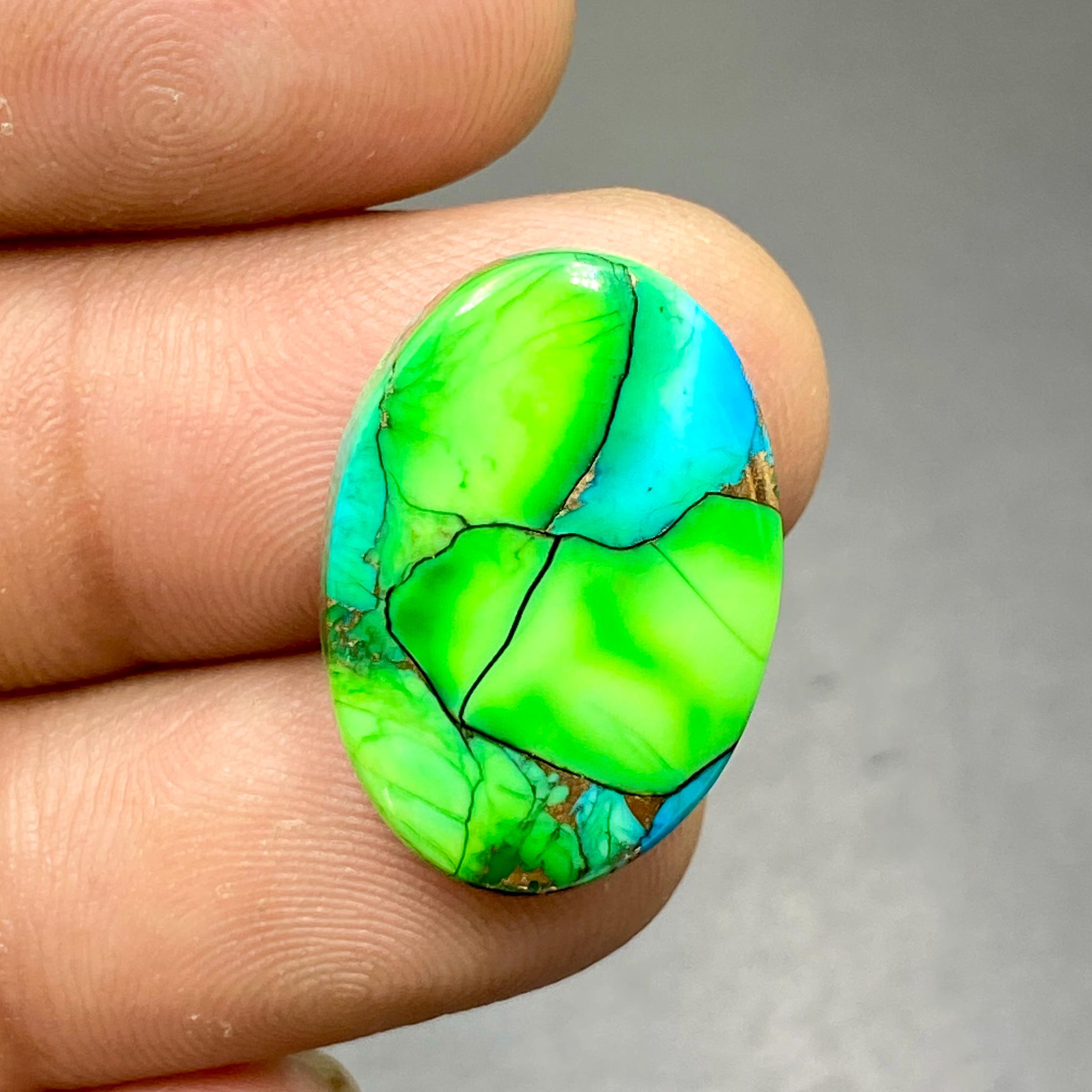 Peacock Dahlia Turquoise, Kingman Composite Dahlia Turquoise