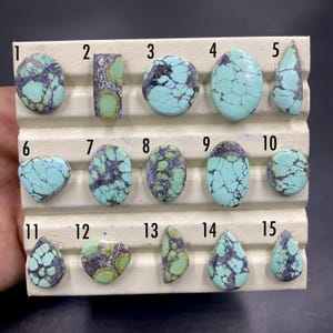 Peut inclure: Un présentoir contenant quinze cabochons de turquoise polis, numérotés de un à quinze. Chaque pierre présente des teintes uniques allant du bleu clair au vert avec des motifs de matrice sombres et complexes, dans des formes variées.