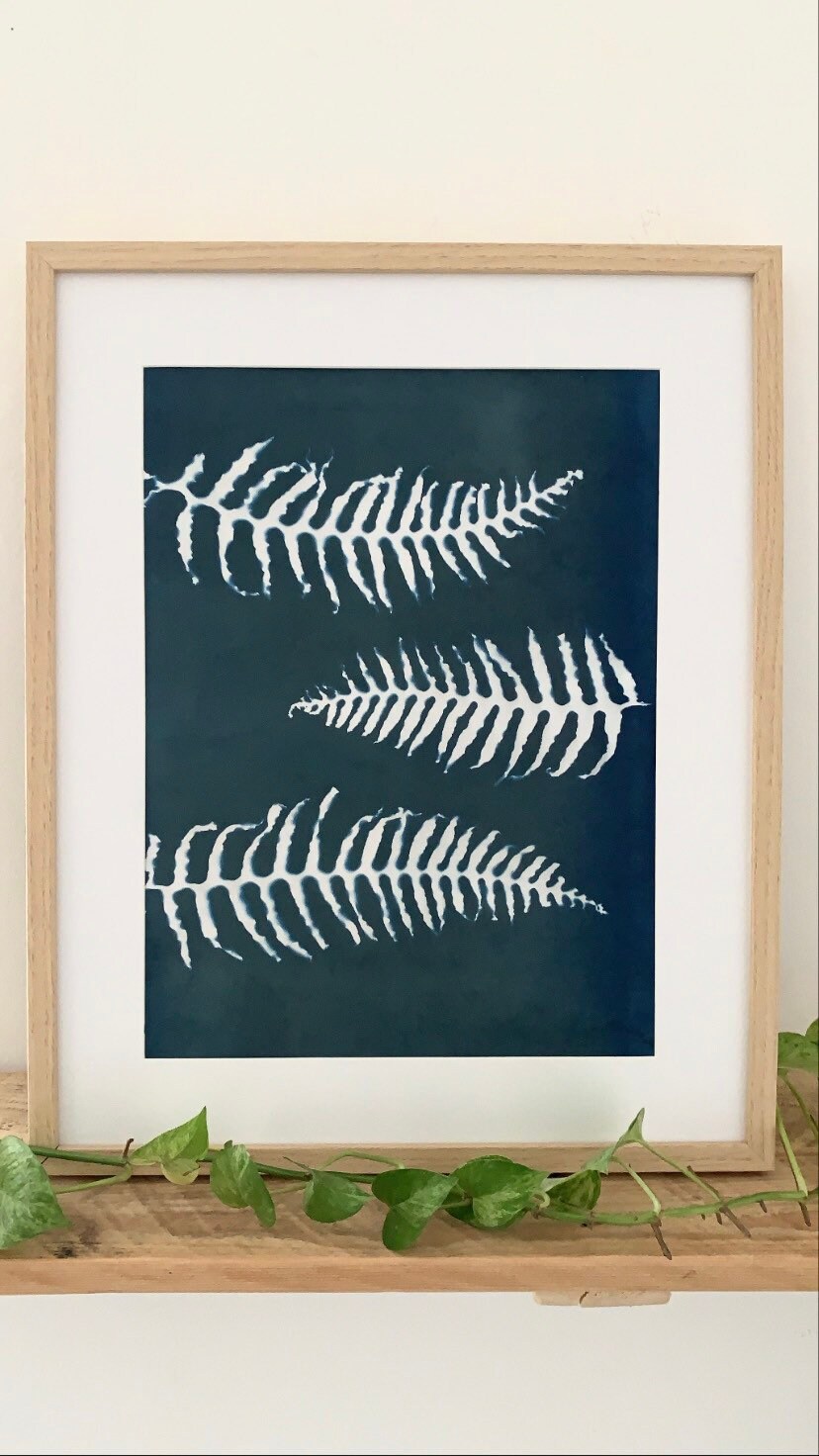 Cyanotype Trio de Fougères - A3 Photographie Alternative Végétale