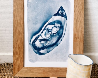 Oyster Cyanotype - Oyster Fever A4. Alternative photography