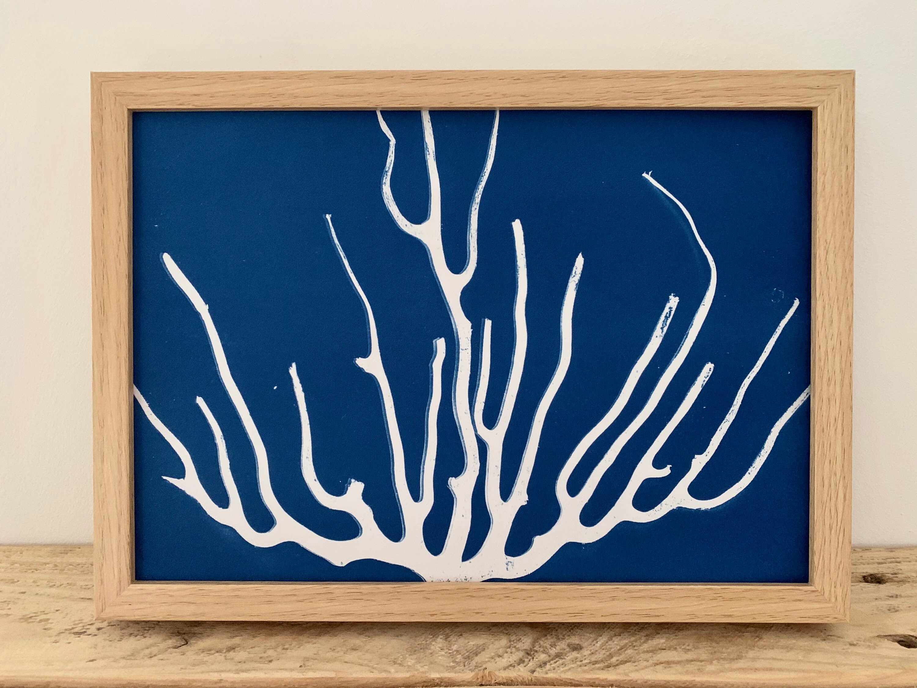 Cyanotypes de Gorgone - Photographie Alternative