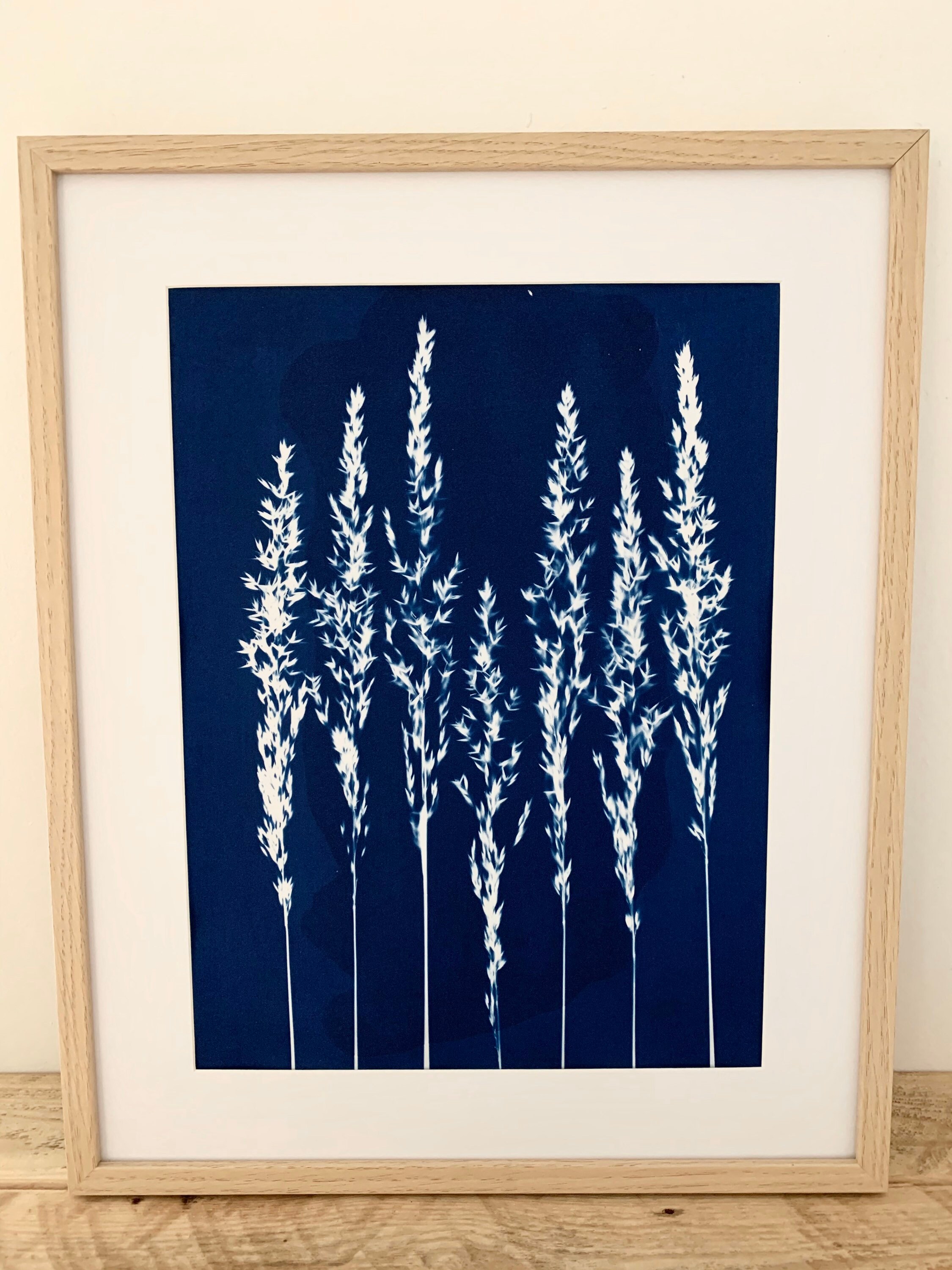 Cyanotype de Graminées - A3 Photographie Alternative Végétale