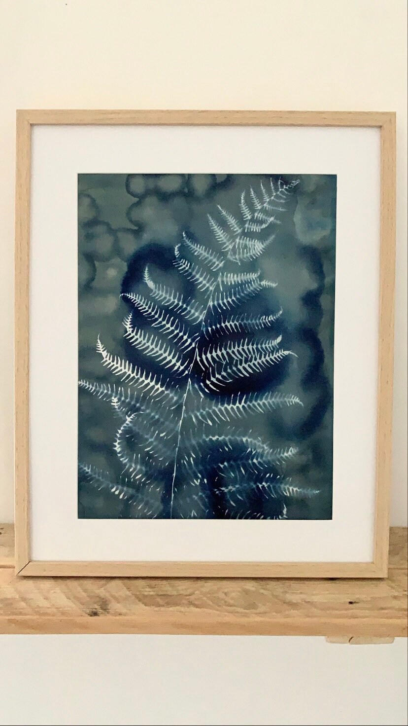 Cyanotype de Fougère Sombre - A3 Photographie Alternative Végétale