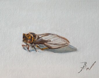 Cicada study