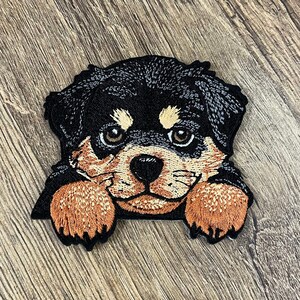Op de afbeelding: Gestikte patch van een Rottweiler-puppy die over de rand van een oppervlak kijkt. De puppy heeft zwarte vacht, bruine ogen en een roze neus. De patch is bruin en zwart.